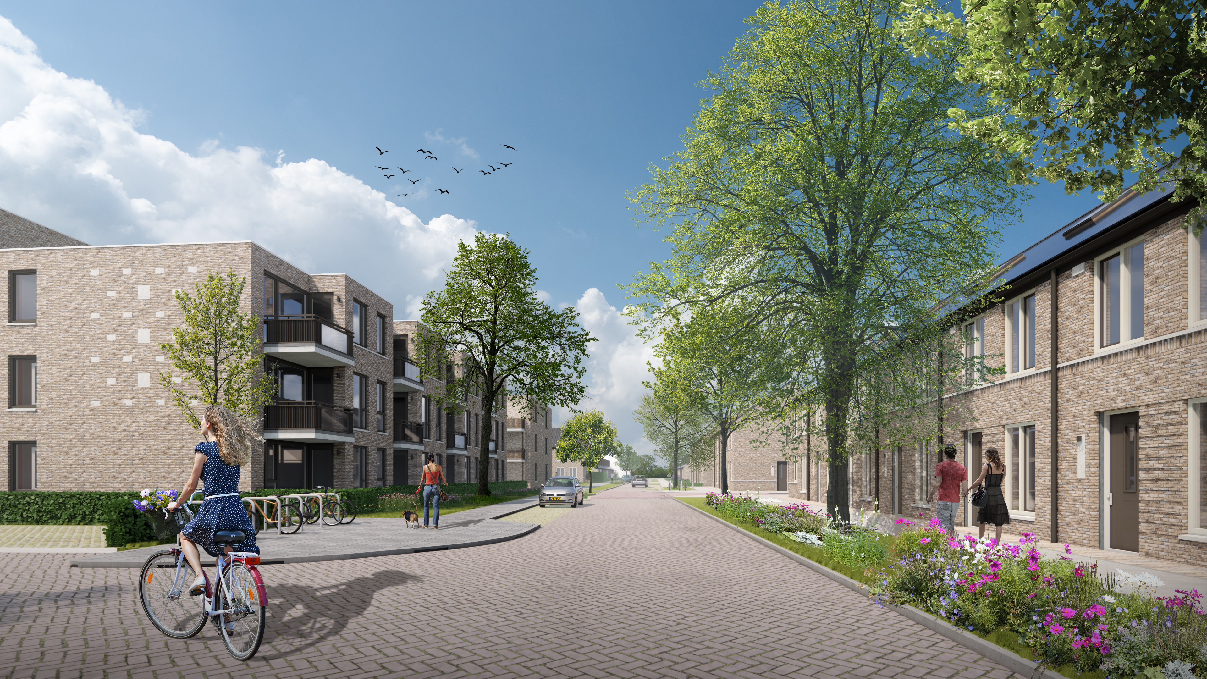 Rhiant start bijna met het verhuren van de eerste woningen in de Oranjebuurt